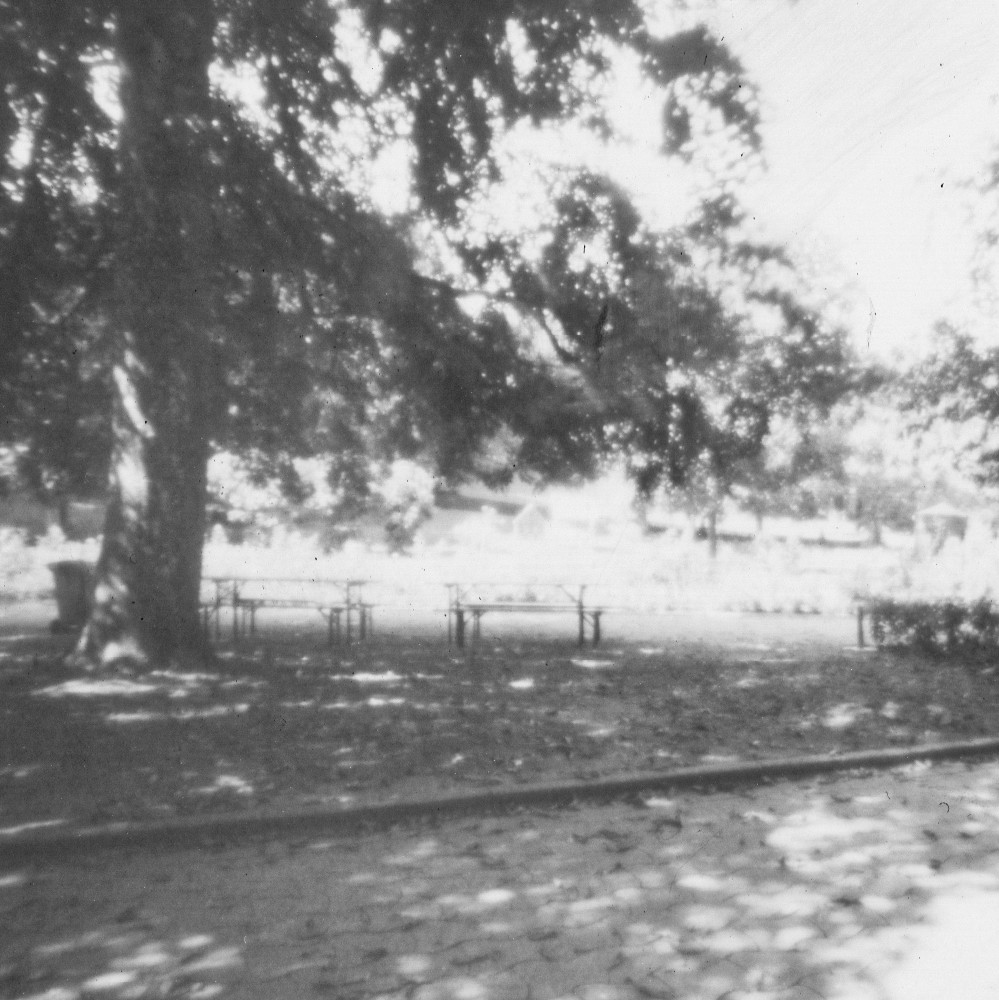 image: gaalgebierg, esch