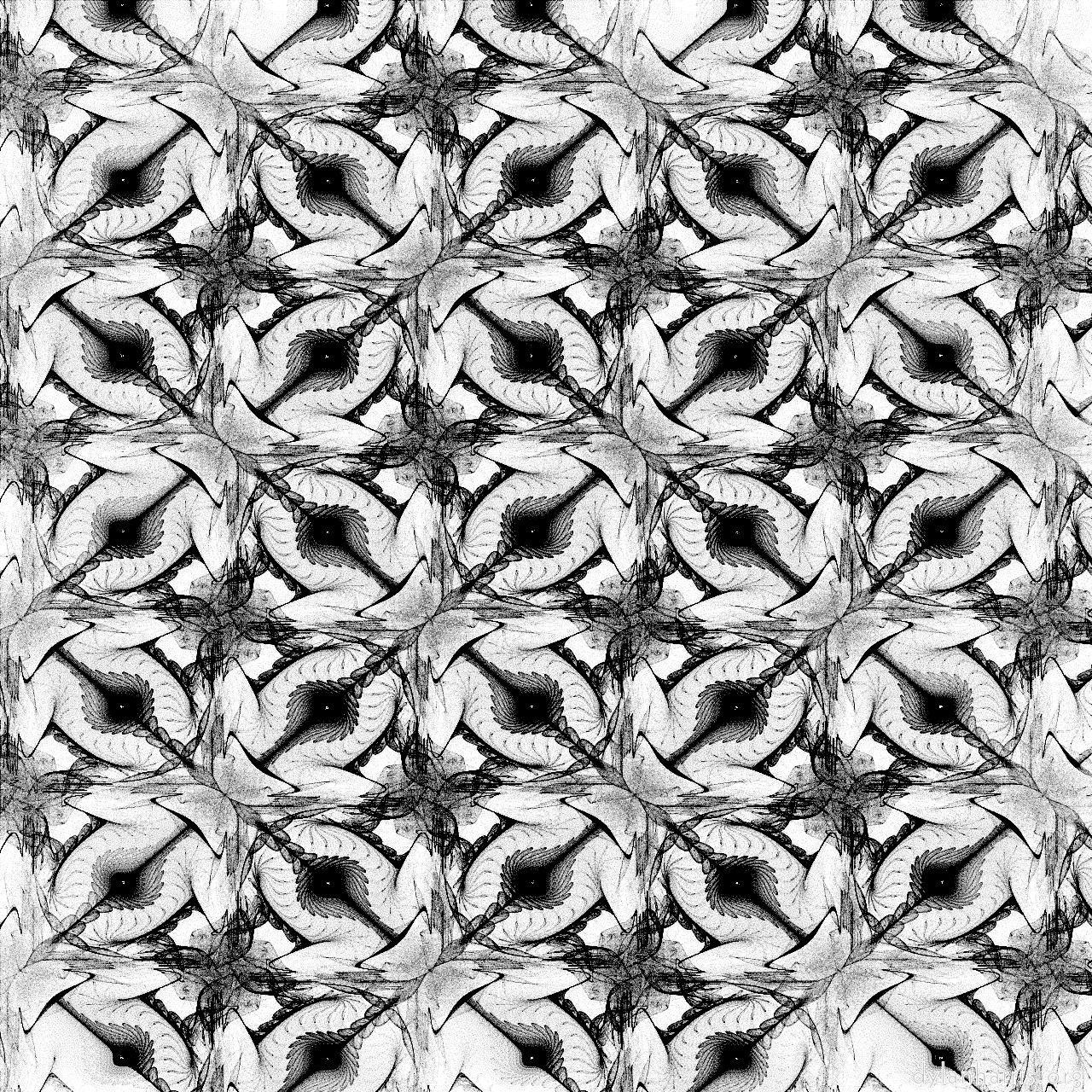 image: attractors - bw :: basket weave 2