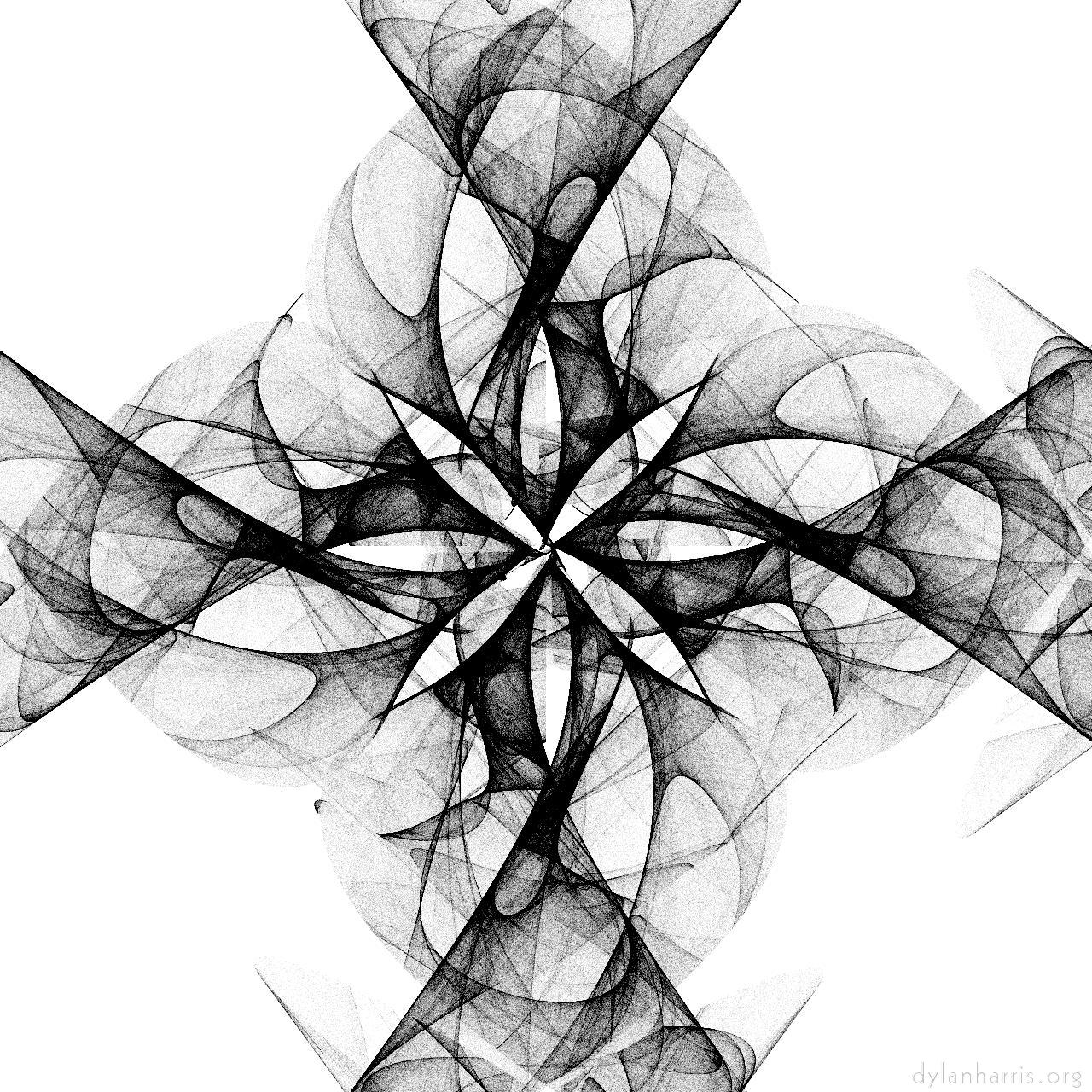 image: attractors - bw :: flower