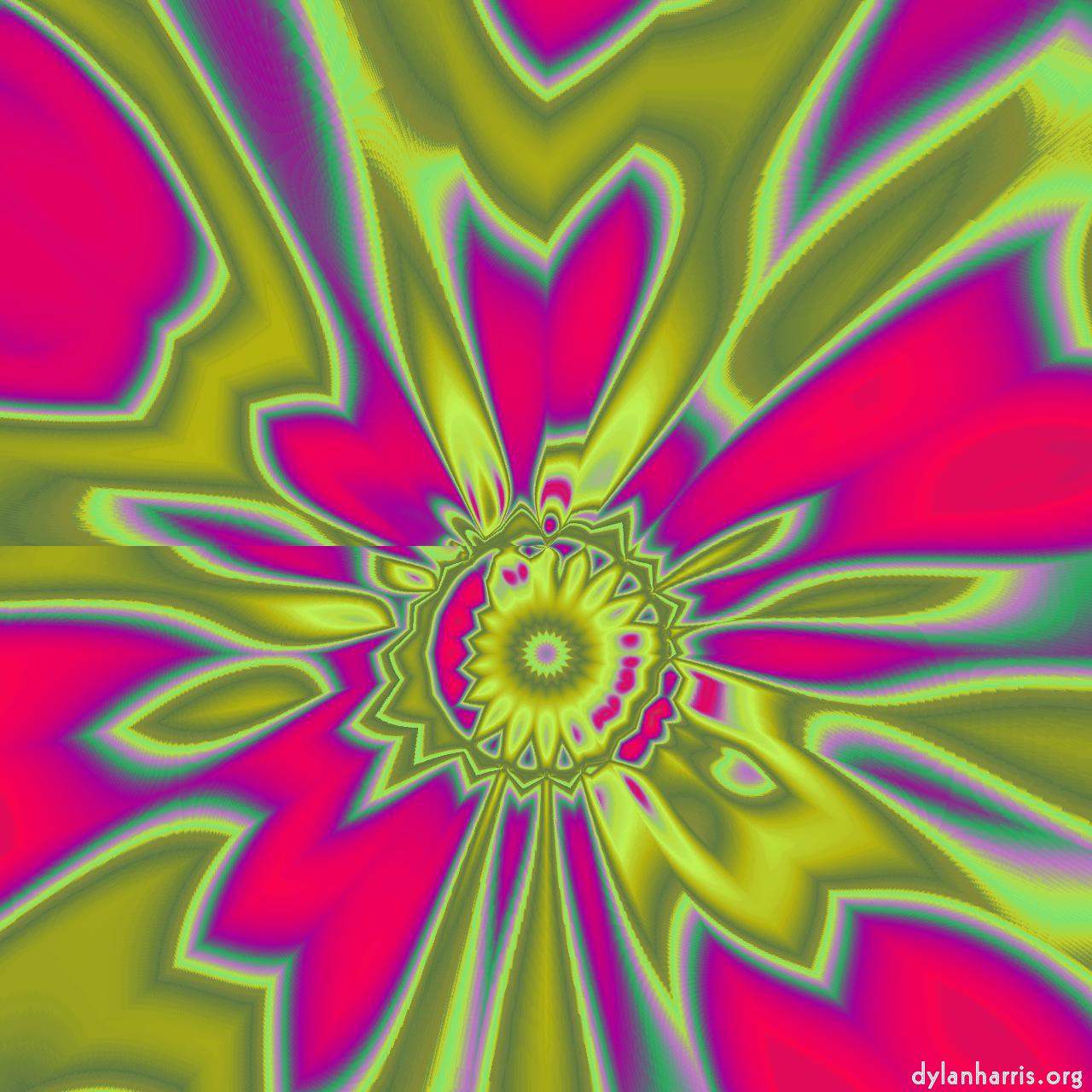 image: cirsym :: d4