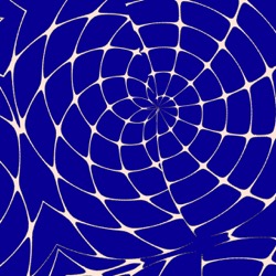 image: image from complex attractors