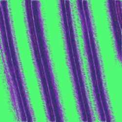image: s thumbnail