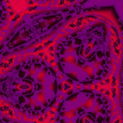 Image: image from t1