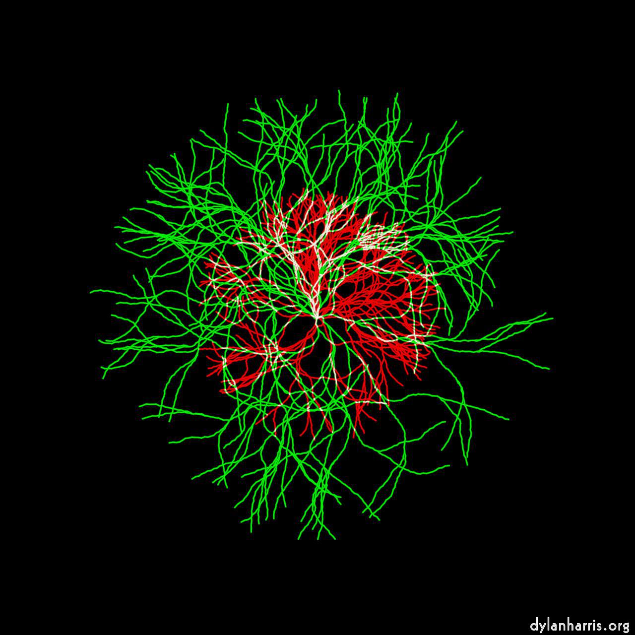 image: test :: growth stalk 2t1