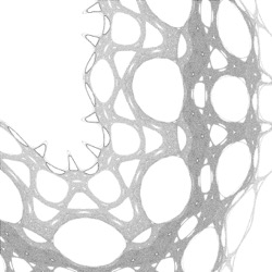 Image: image from variations 1