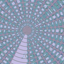 Image: image from variations 1