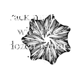 Image: image from z test 2