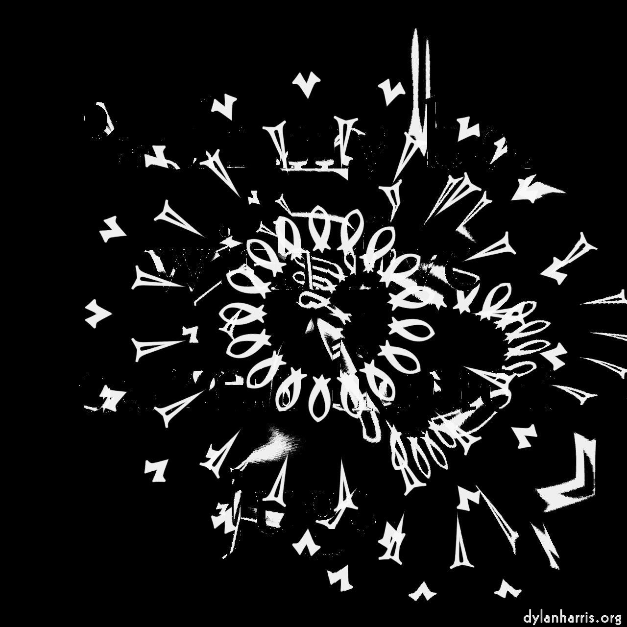 Image: zygotes :: zygote 4