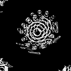 image: z thumbnail