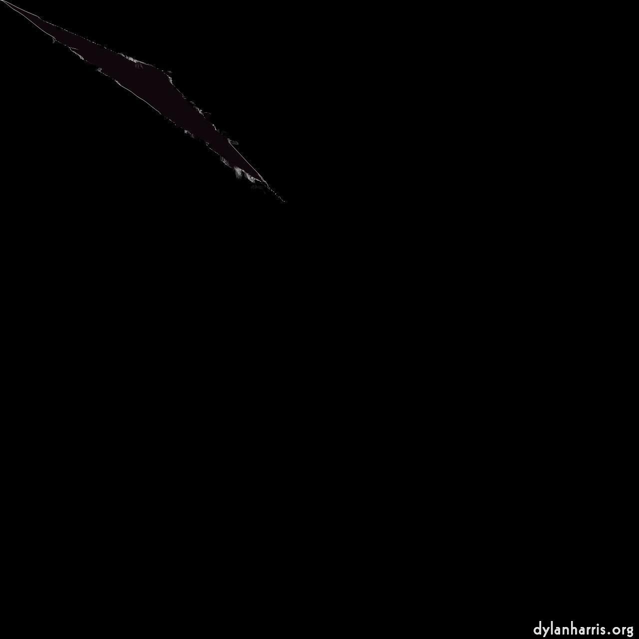 generative and abstract animation :: polar brush