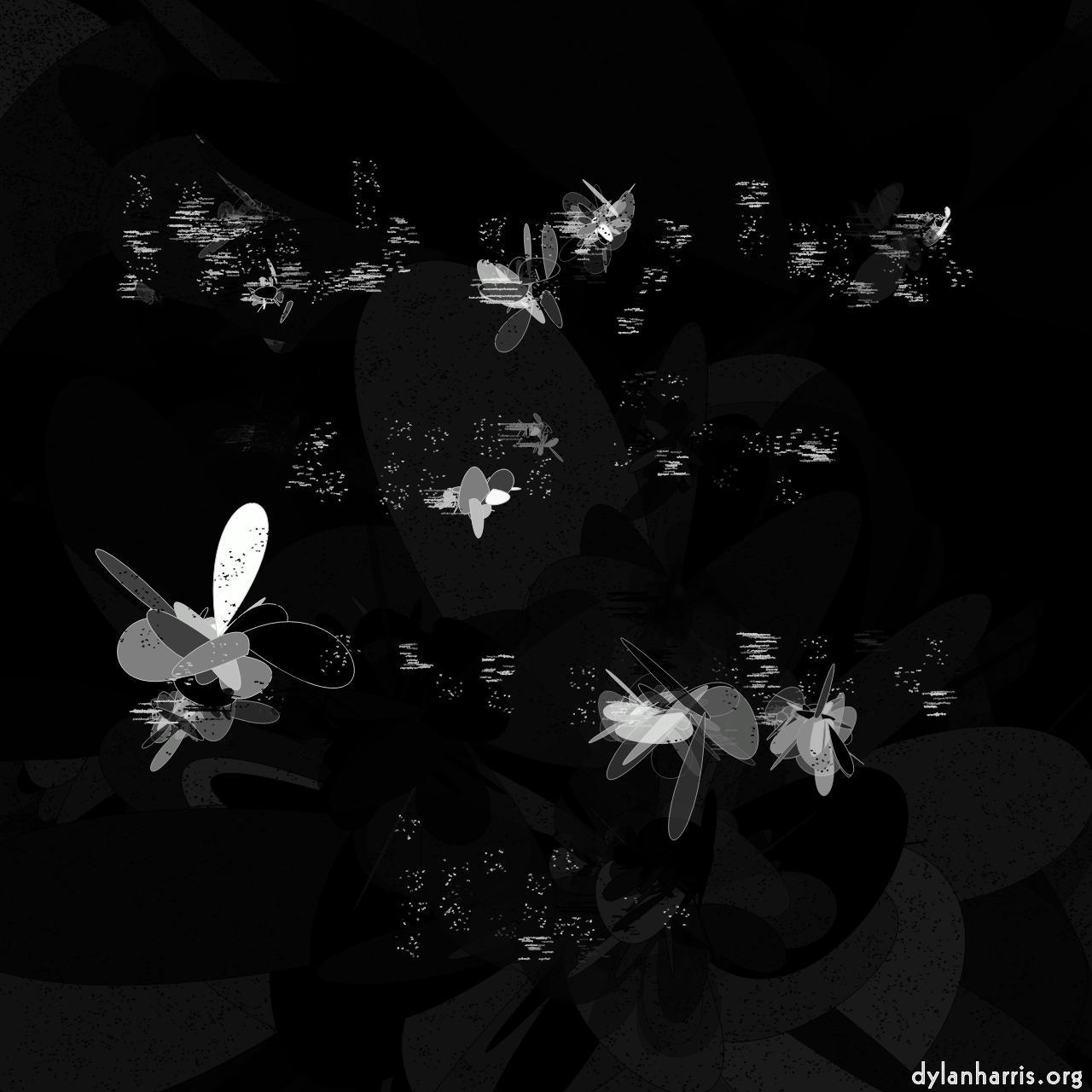 Image: shapes abstractions textures :: big flower
