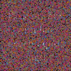 Image: image from mosaic for source with white backgrounds