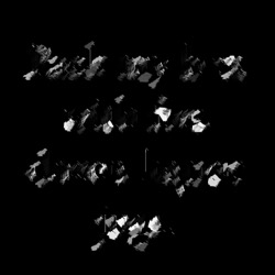 Image: image from mosaic for source with white backgrounds