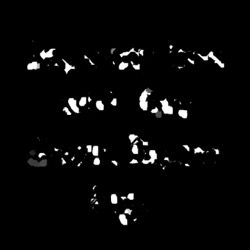 Image: image from natural media