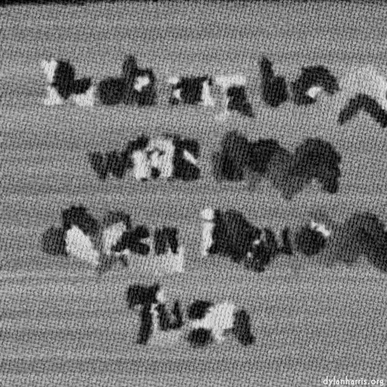 Image: oils :: wool