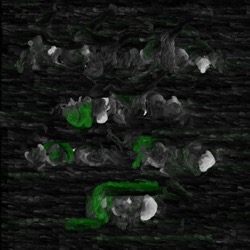 Image: image from oils