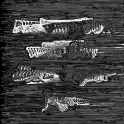 Image: image from oils vector
