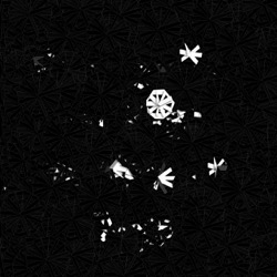 Image: image from region draw - vector