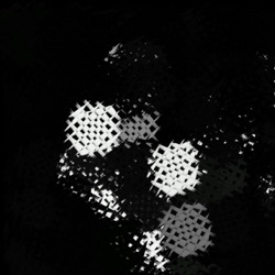 Image: image from region draw - vector
