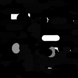 Image: image from region draw - vector