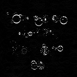 Image: image from region draw - vector