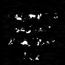 Image: image from region draw - vector