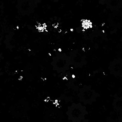Image: image from region draw - vector