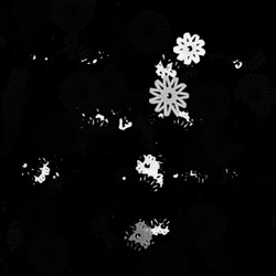Image: image from region draw - vector