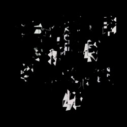 Image: image from region draw - vector