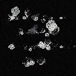 Image: image from region draw - vector