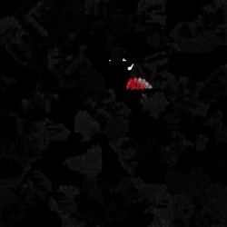 Image: image from region draw - vector