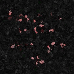 Image: image from splatters - vector