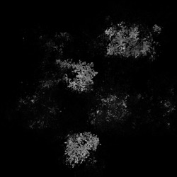 Image: image from splatters - vector