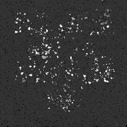 Image: image from splatters - vector