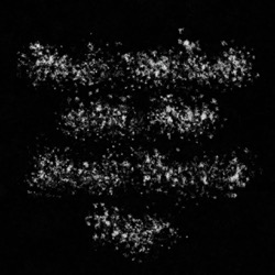 Image: image from splatters - vector
