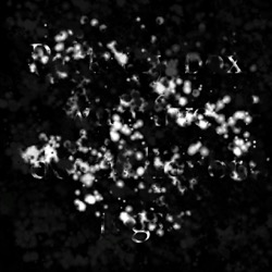 Image: image from splatters - vector