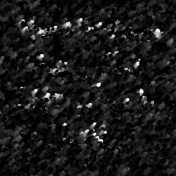 Image: image from splatters - vector