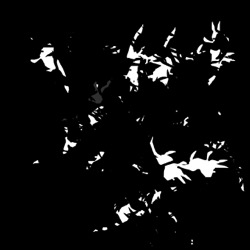 Image: image from vector paint styles