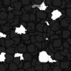 Image: image from wets and blends vector