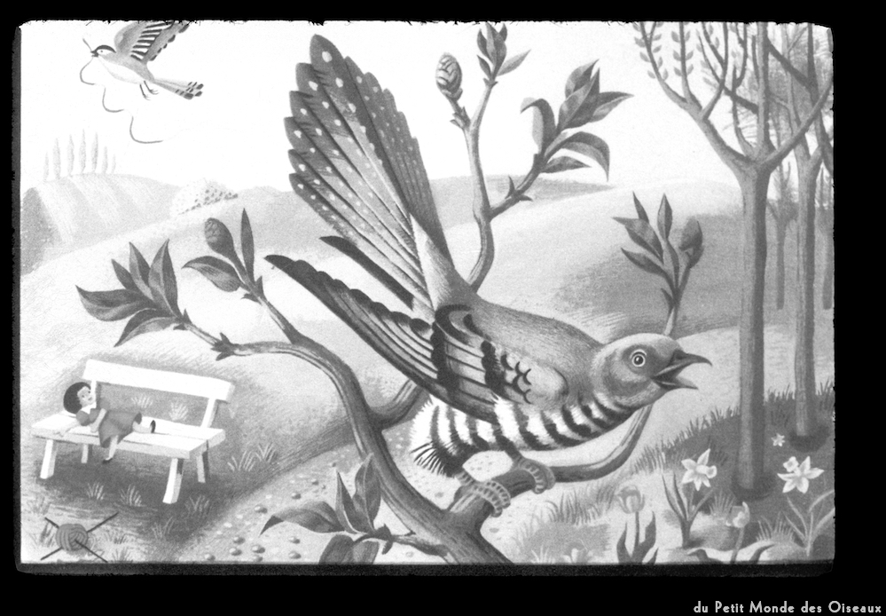 image: This is ‘le petit monde des oiseaux 1’.