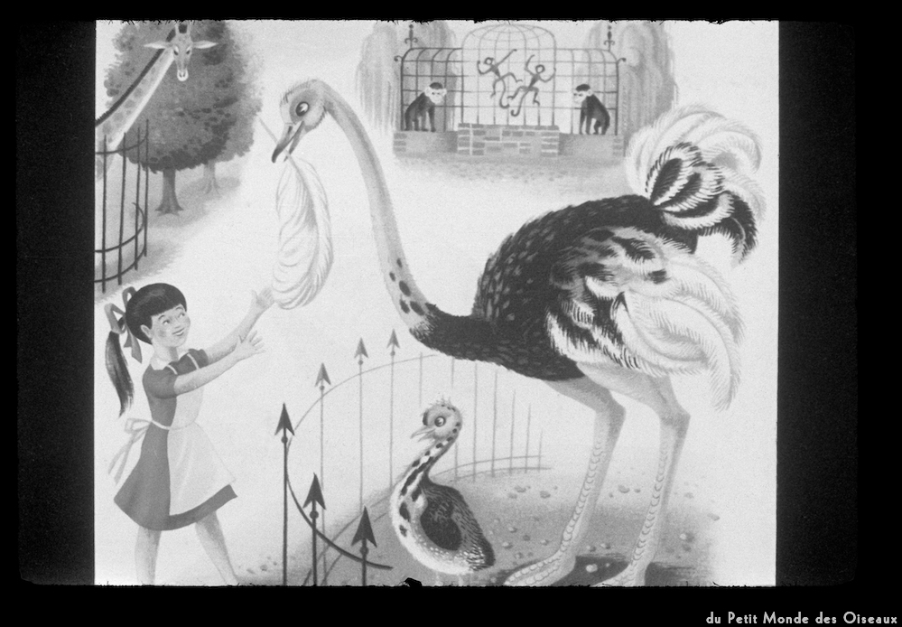 image: This is ‘le petit monde des oiseaux 11’.