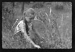 image: Image from the photoset ‘PETITES BÊTES de la FORÊT’.