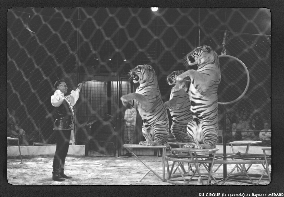 image: This is ‘
LE CIRQUE (le spectacle) 27
’.
