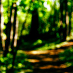 image: photographic workflow