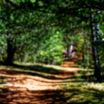 image: unfocused photos