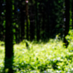image: Image from the photoset ‘kayl (ii)’.