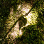 image: Image from the photoset ‘kayl (ii)’.