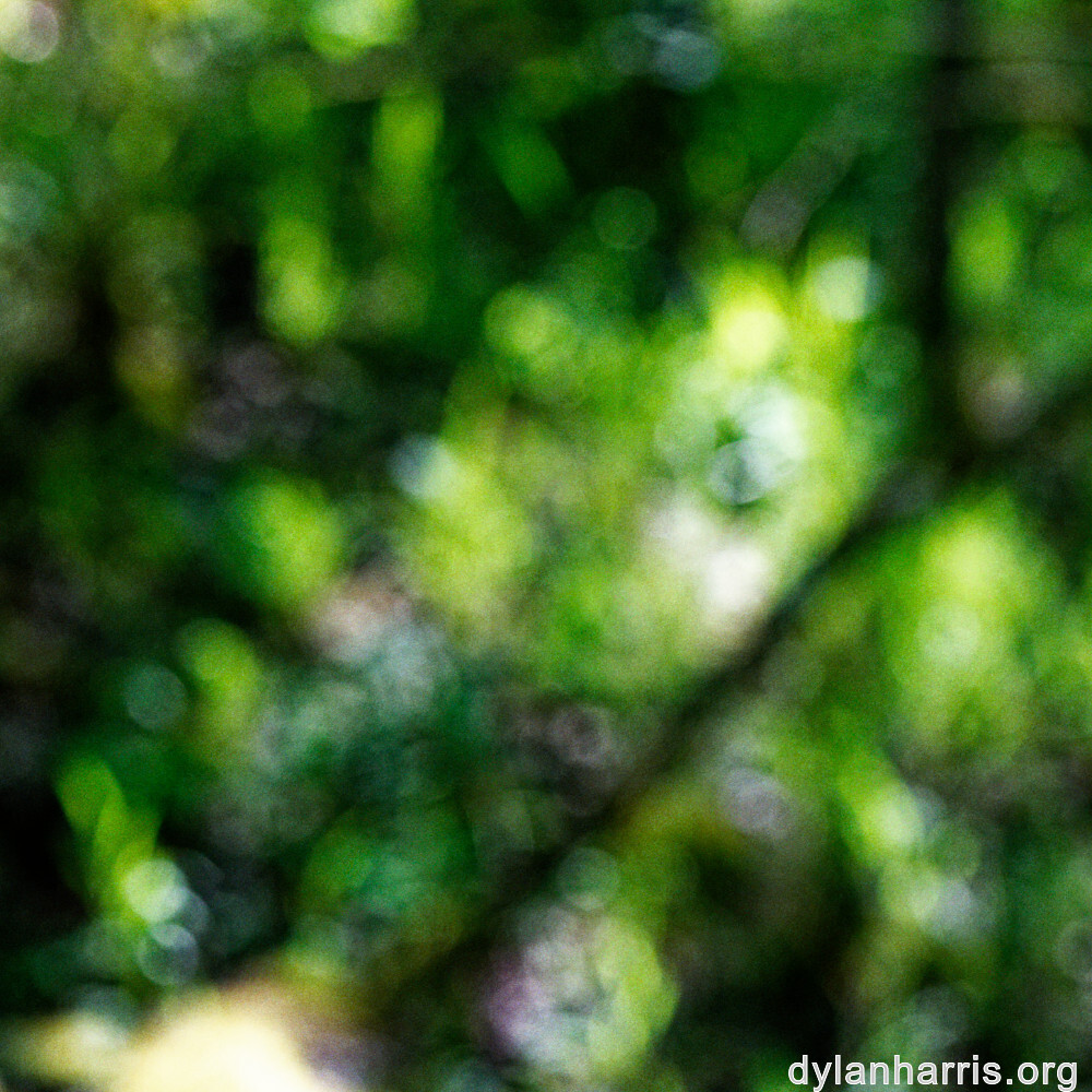 image: This is ‘rumelange 1’.