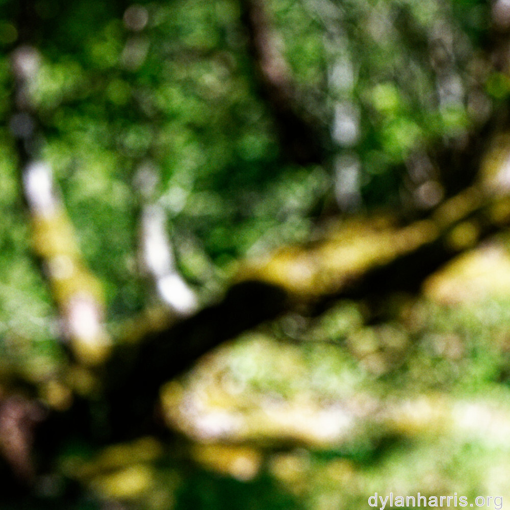 image: This is ‘rumelange 4’.
