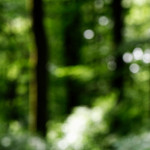 image: Image from the photoset ‘rumelange (iv)’.